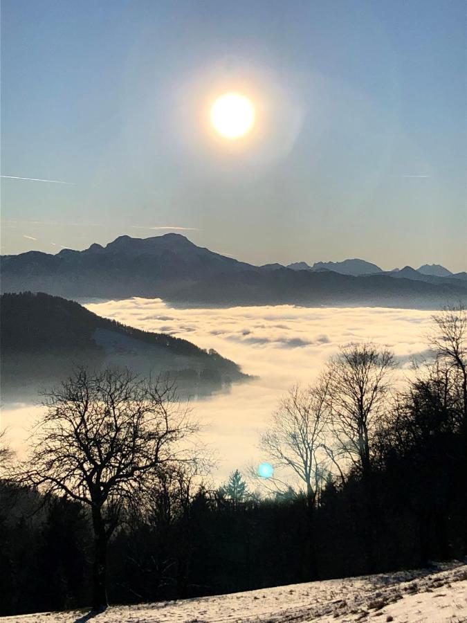 Fewo Atterseeperle - 80M2 Mit See- Und Gebirgsblick Steinbach am Attersee Dış mekan fotoğraf