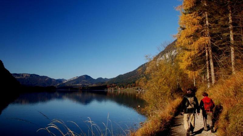 Fewo Atterseeperle - 80M2 Mit See- Und Gebirgsblick Steinbach am Attersee Dış mekan fotoğraf