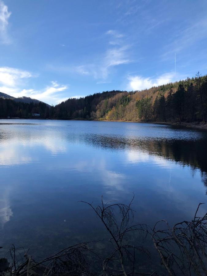Fewo Atterseeperle - 80M2 Mit See- Und Gebirgsblick Steinbach am Attersee Dış mekan fotoğraf