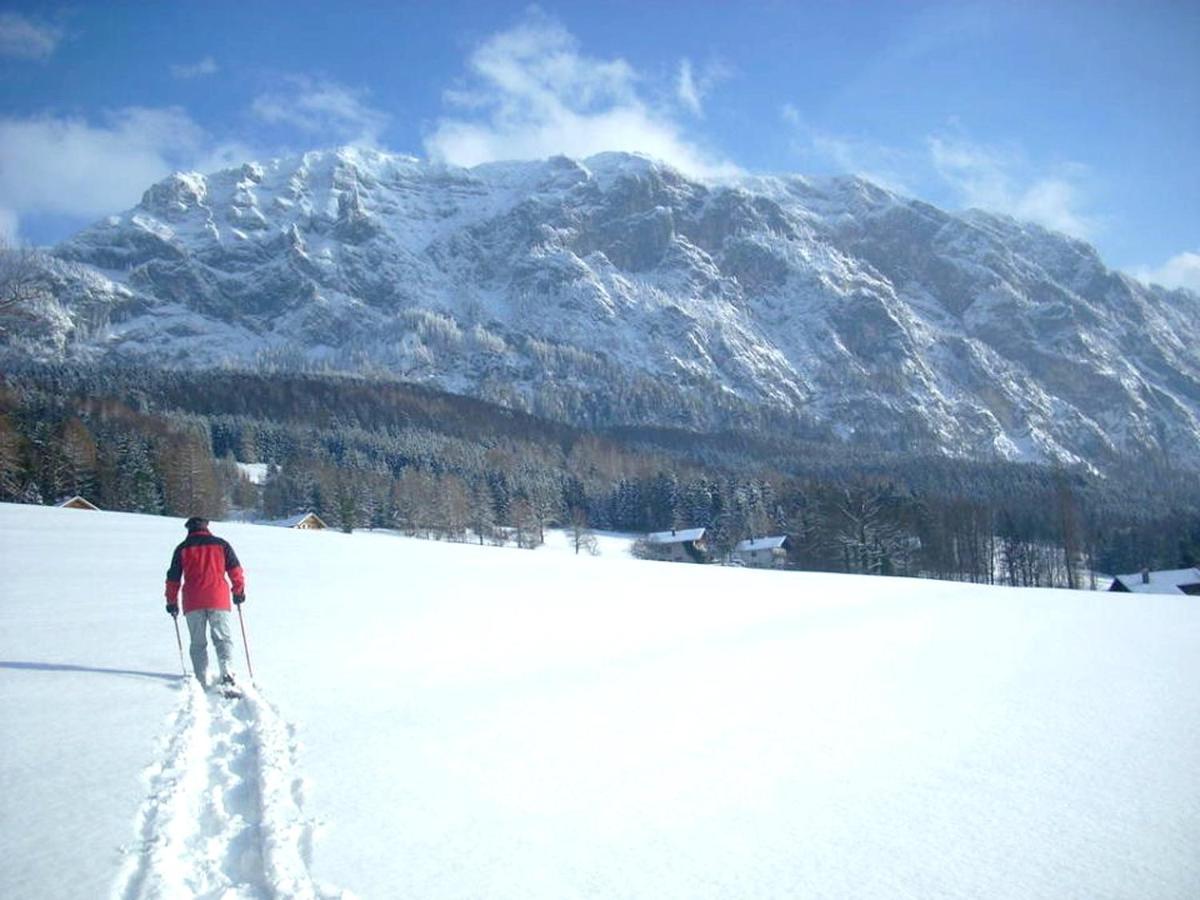 Fewo Atterseeperle - 80M2 Mit See- Und Gebirgsblick Steinbach am Attersee Dış mekan fotoğraf
