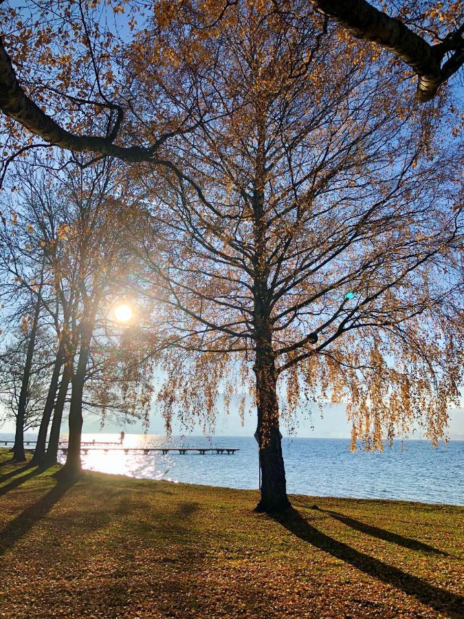 Fewo Atterseeperle - 80M2 Mit See- Und Gebirgsblick Steinbach am Attersee Dış mekan fotoğraf