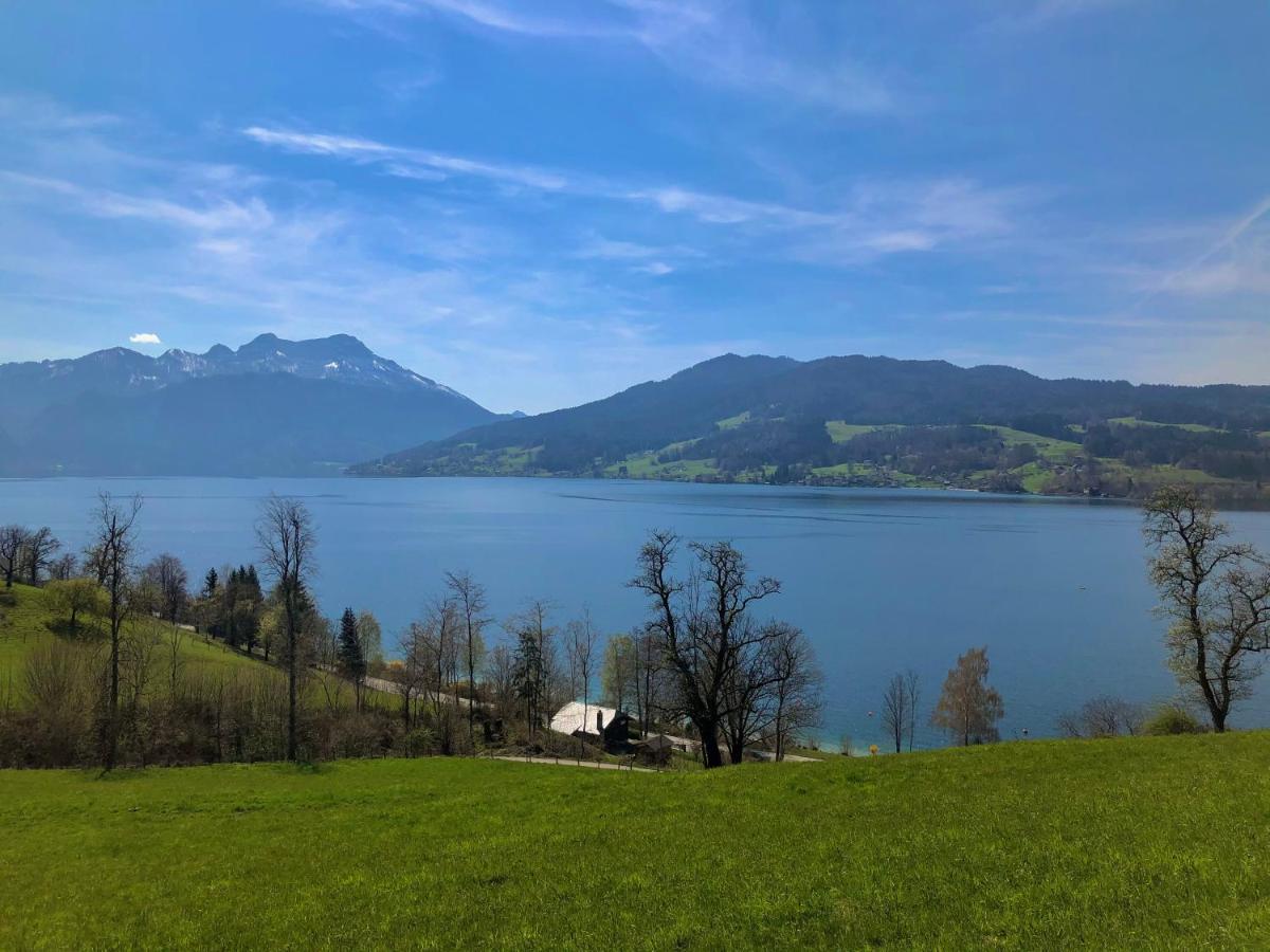 Fewo Atterseeperle - 80M2 Mit See- Und Gebirgsblick Steinbach am Attersee Dış mekan fotoğraf