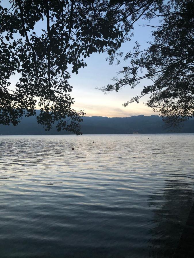 Fewo Atterseeperle - 80M2 Mit See- Und Gebirgsblick Steinbach am Attersee Dış mekan fotoğraf