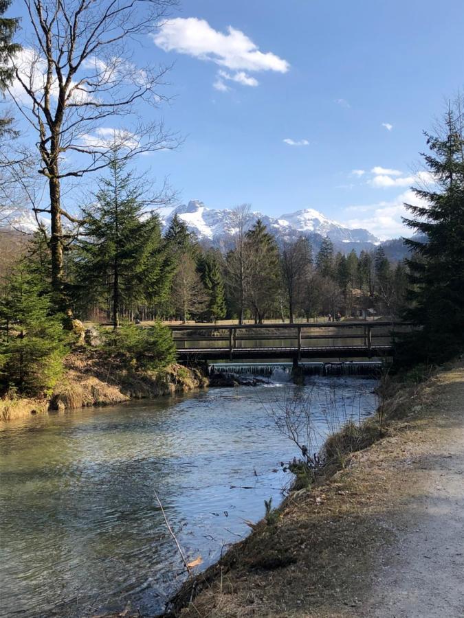 Fewo Atterseeperle - 80M2 Mit See- Und Gebirgsblick Steinbach am Attersee Dış mekan fotoğraf