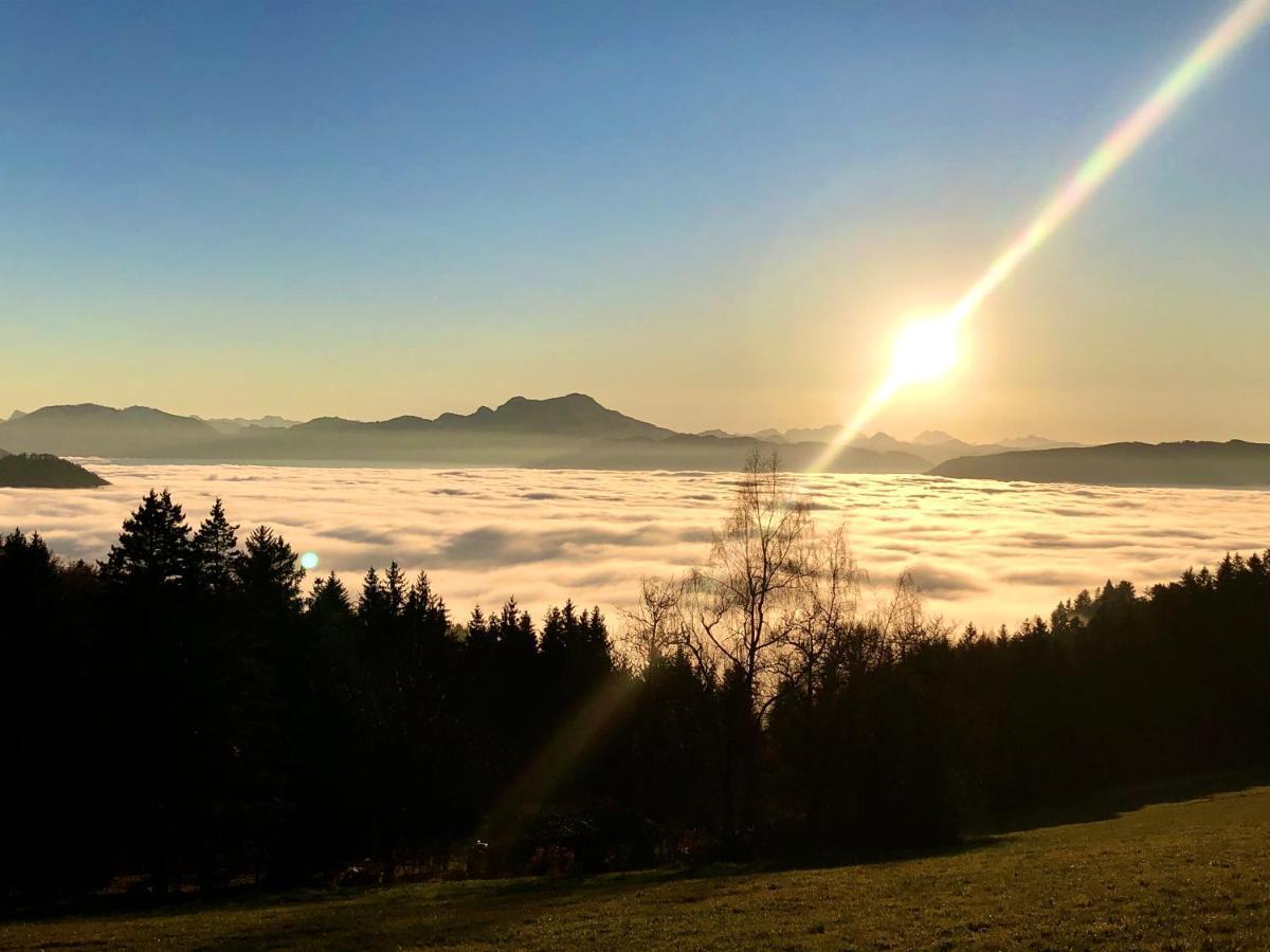 Fewo Atterseeperle - 80M2 Mit See- Und Gebirgsblick Steinbach am Attersee Dış mekan fotoğraf