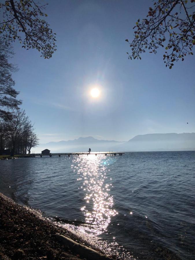 Fewo Atterseeperle - 80M2 Mit See- Und Gebirgsblick Steinbach am Attersee Dış mekan fotoğraf
