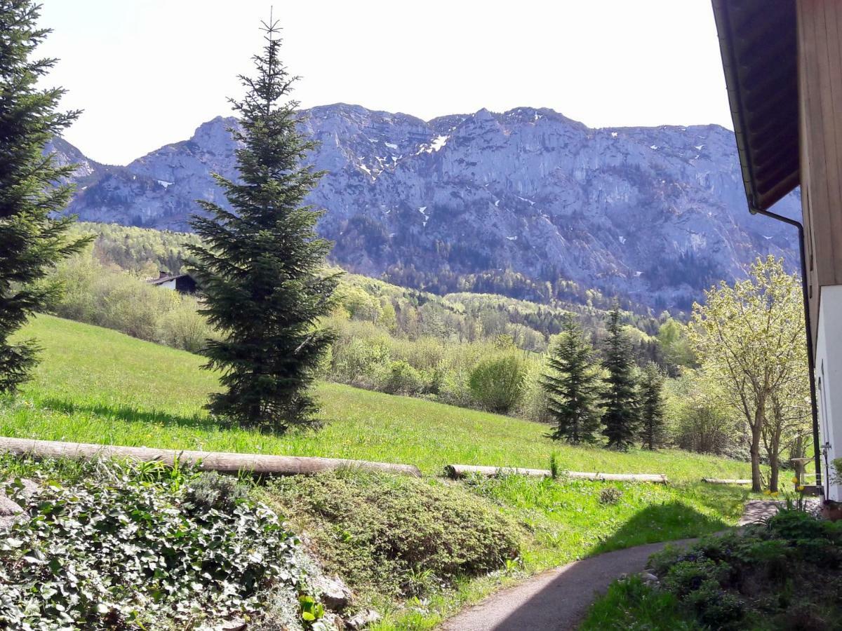 Fewo Atterseeperle - 80M2 Mit See- Und Gebirgsblick Steinbach am Attersee Dış mekan fotoğraf